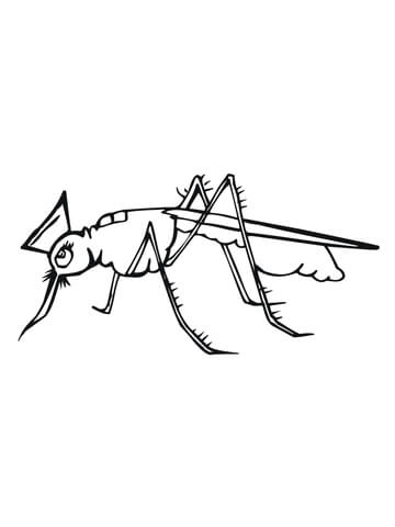 Cute Mosquito Coloring Page